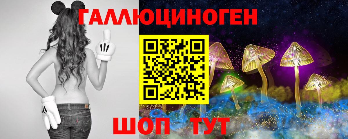Псилоцибиновые грибы мухоморы  Псилоцибиновые грибы GOLDEN TEACHER  Мирный  Вход с VPN 